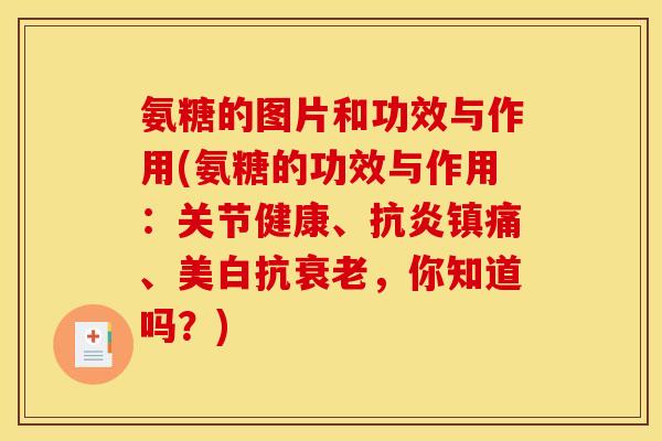 氨糖的图片和功效与作用(氨糖的功效与作用：关节健康、抗炎镇痛、美白抗衰老，你知道吗？)-第1张图片-关节骑士