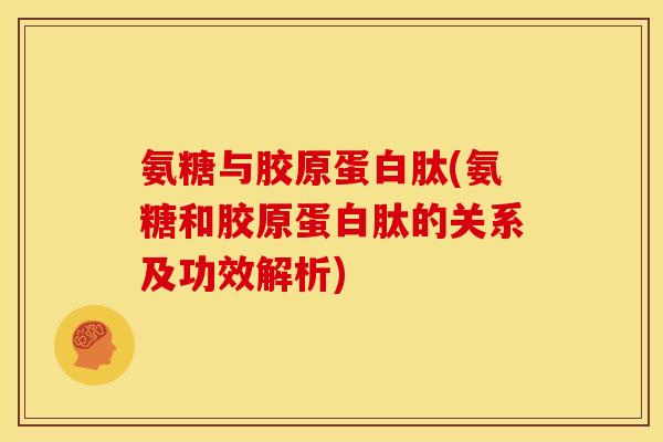氨糖与胶原蛋白肽(氨糖和胶原蛋白肽的关系及功效解析)-第1张图片-关节骑士