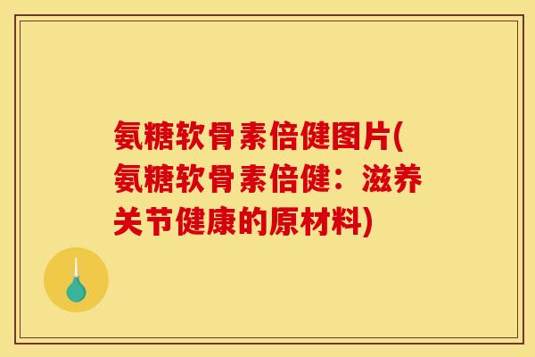 氨糖软骨素倍健图片(氨糖软骨素倍健：滋养关节健康的原材料)