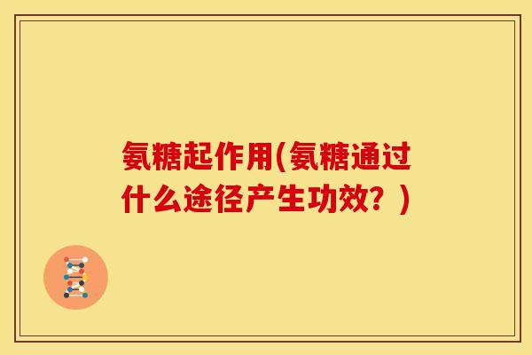 氨糖起作用(氨糖通过什么途径产生功效？)