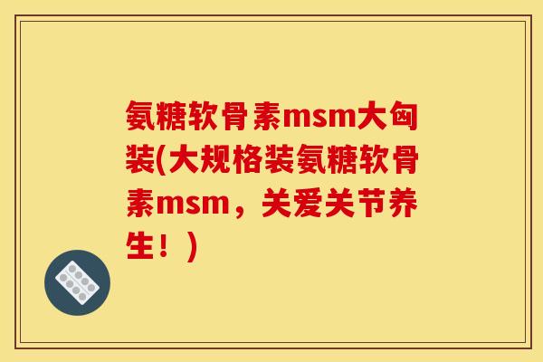 氨糖软骨素msm大匈装(大规格装氨糖软骨素msm，关爱关节养生！)