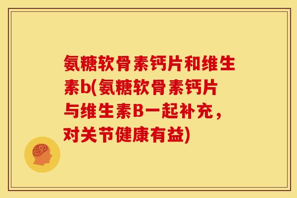 氨糖软骨素钙片和维生素b(氨糖软骨素钙片与维生素B一起补充，对关节健康有益)