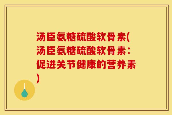 汤臣氨糖硫酸软骨素(汤臣氨糖硫酸软骨素：促进关节健康的营养素)