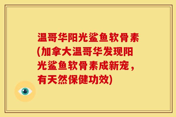 温哥华阳光鲨鱼软骨素(加拿大温哥华发现阳光鲨鱼软骨素成新宠，有天然保健功效)