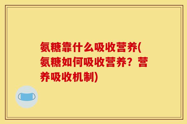 氨糖靠什么吸收营养(氨糖如何吸收营养？营养吸收机制)