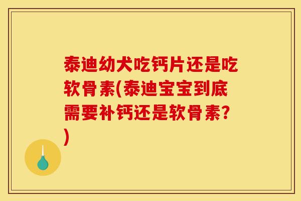泰迪幼犬吃钙片还是吃软骨素(泰迪宝宝到底需要补钙还是软骨素?)-第1张图片-关节骑士 泰迪幼犬吃钙片还是吃软骨素(泰迪宝宝到底需要补钙还是软骨素?)-第1张图片-关节骑士