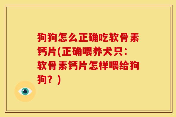 狗狗怎么正确吃软骨素钙片(正确喂养犬只：软骨素钙片怎样喂给狗狗？)