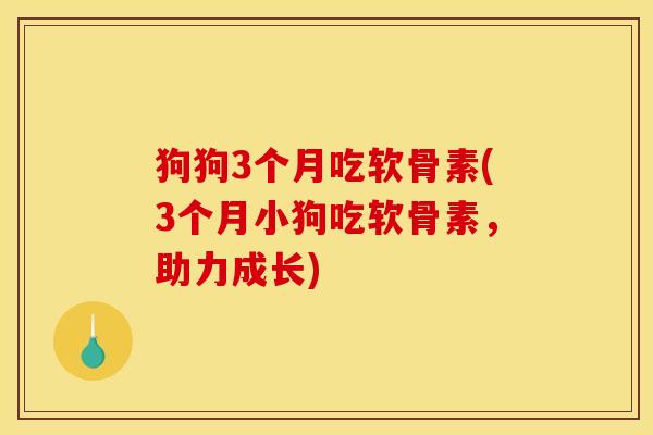 狗狗3个月吃软骨素(3个月小狗吃软骨素，助力成长)