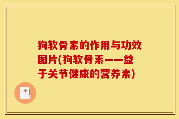 狗软骨素的作用与功效图片(狗软骨素——益于关节健康的营养素)