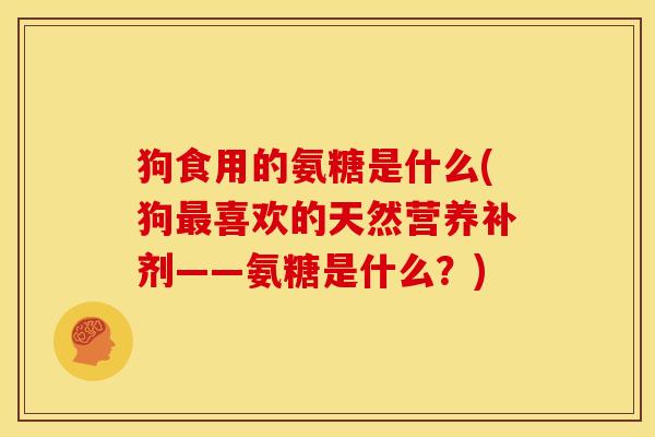 狗食用的氨糖是什么(狗最喜欢的天然营养补剂——氨糖是什么？)