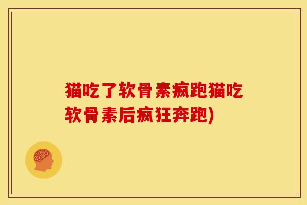 猫吃了软骨素疯跑猫吃软骨素后疯狂奔跑)