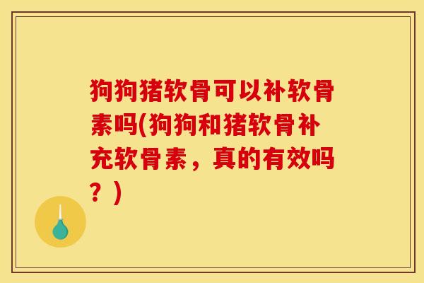 狗狗猪软骨可以补软骨素吗(狗狗和猪软骨补充软骨素，真的有效吗？)