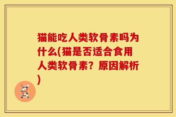 猫能吃人类软骨素吗为什么(猫是否适合食用人类软骨素？原因解析)