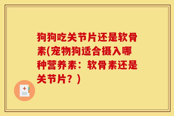 狗狗吃关节片还是软骨素(宠物狗适合摄入哪种营养素：软骨素还是关节片？)