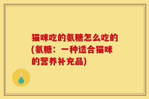 猫咪吃的氨糖怎么吃的(氨糖：一种适合猫咪的营养补充品)