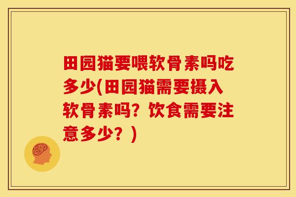 田园猫要喂软骨素吗吃多少(田园猫需要摄入软骨素吗？饮食需要注意多少？)