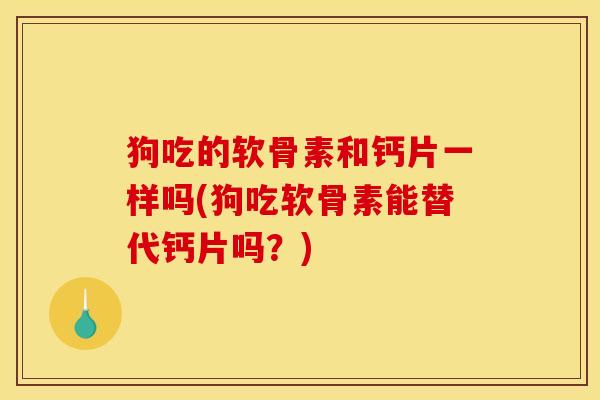 狗吃的软骨素和钙片一样吗(狗吃软骨素能替代钙片吗？)