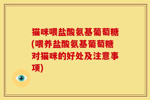 猫咪喂盐酸氨基葡萄糖(喂养盐酸氨基葡萄糖对猫咪的好处及注意事项)