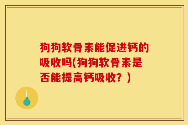 狗狗软骨素能促进钙的吸收吗(狗狗软骨素是否能提高钙吸收？)