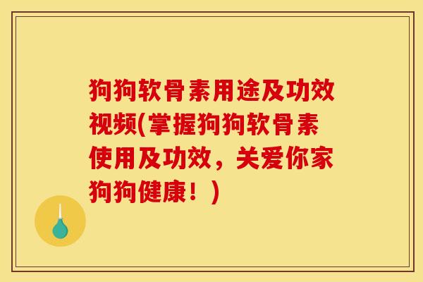 狗狗软骨素用途及功效视频(掌握狗狗软骨素使用及功效，关爱你家狗狗健康！)