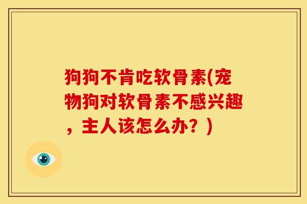 狗狗不肯吃软骨素(宠物狗对软骨素不感兴趣，主人该怎么办？)-第1张图片-关节骑士