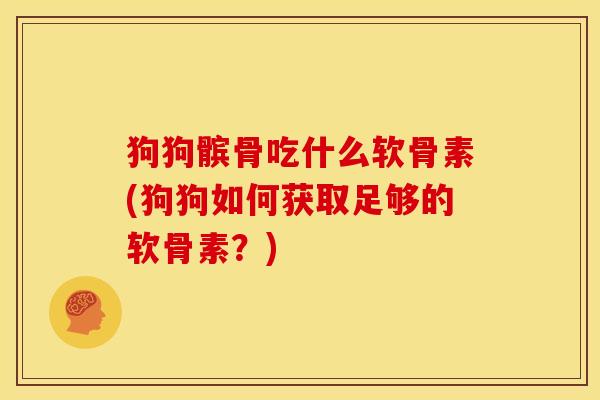 狗狗髌骨吃什么软骨素(狗狗如何获取足够的软骨素？)