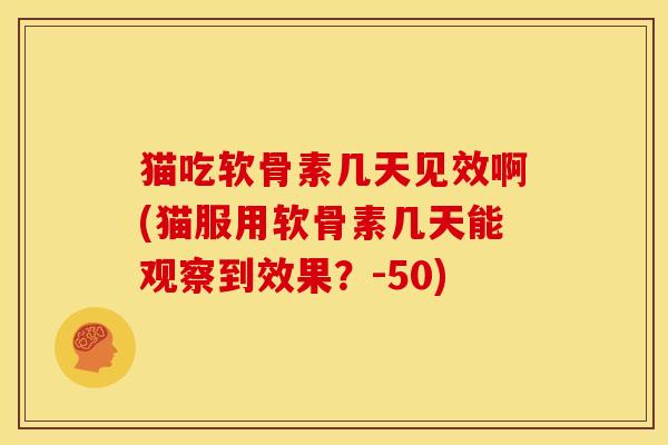 猫吃软骨素几天见效啊(猫服用软骨素几天能观察到效果？-50)