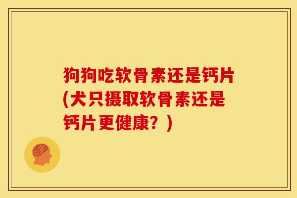 狗狗吃软骨素还是钙片(犬只摄取软骨素还是钙片更健康?)-第1张图片-关节骑士 狗狗吃软骨素还是钙片(犬只摄取软骨素还是钙片更健康?)-第1张图片-关节骑士