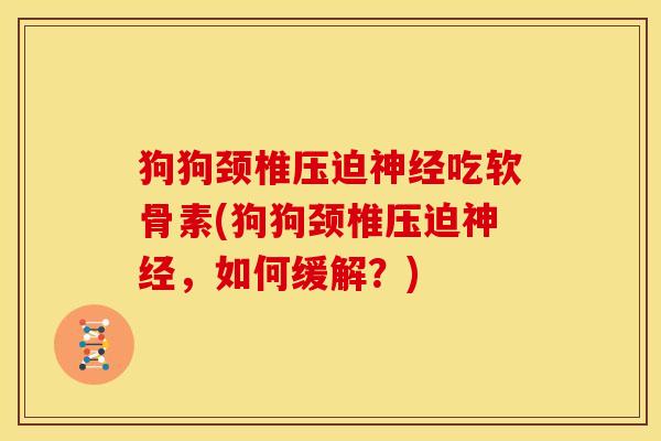狗狗颈椎压迫神经吃软骨素(狗狗颈椎压迫神经，如何缓解？)