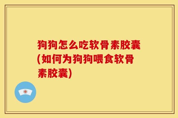 狗狗怎么吃软骨素胶囊(如何为狗狗喂食软骨素胶囊)