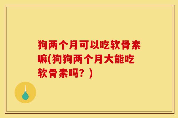 狗两个月可以吃软骨素嘛(狗狗两个月大能吃软骨素吗？)-第1张图片-关节骑士