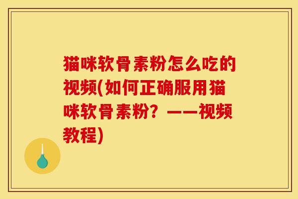 猫咪软骨素粉怎么吃的视频(如何正确服用猫咪软骨素粉？——视频教程)