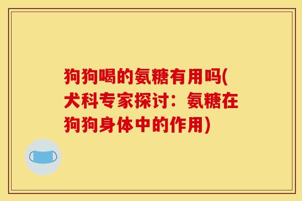 狗狗喝的氨糖有用吗(犬科专家探讨：氨糖在狗狗身体中的作用)