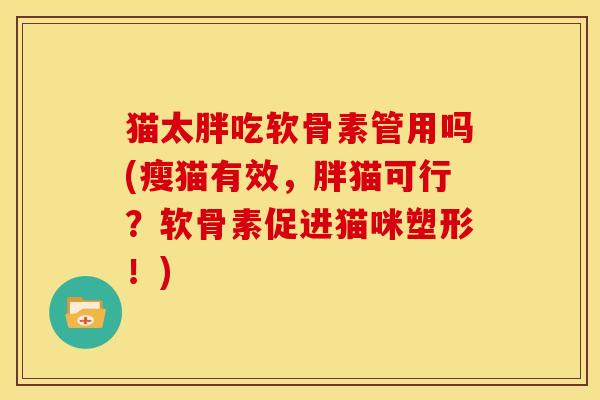 猫太胖吃软骨素管用吗(瘦猫有效，胖猫可行？软骨素促进猫咪塑形！)