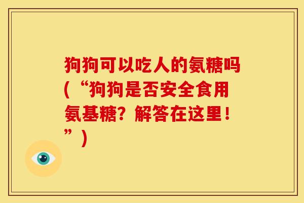 狗狗可以吃人的氨糖吗(“狗狗是否安全食用氨基糖？解答在这里！”)