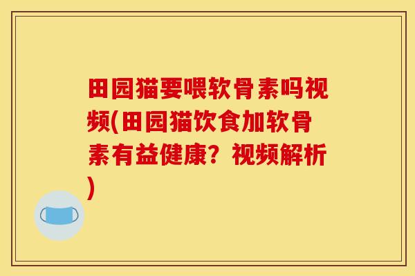 田园猫要喂软骨素吗视频(田园猫饮食加软骨素有益健康？视频解析)-第1张图片-关节骑士