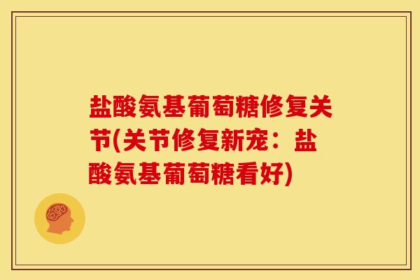 盐酸氨基葡萄糖修复关节(关节修复新宠：盐酸氨基葡萄糖看好)