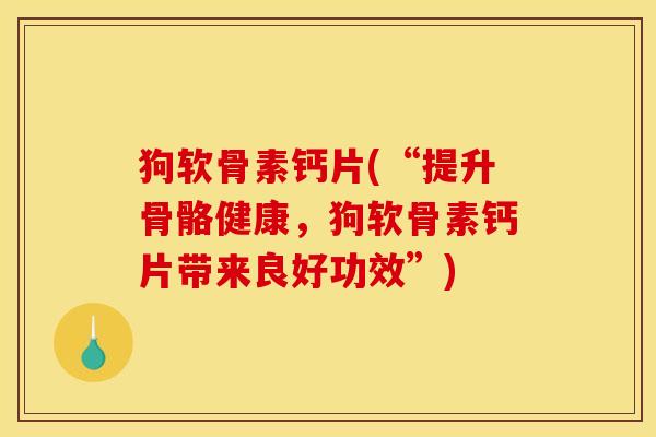 狗软骨素钙片(“提升骨骼健康，狗软骨素钙片带来良好功效”)