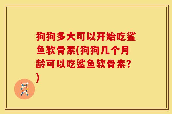 狗狗多大可以开始吃鲨鱼软骨素(狗狗几个月龄可以吃鲨鱼软骨素？)