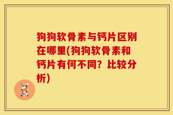 狗狗软骨素与钙片区别在哪里(狗狗软骨素和钙片有何不同？比较分析)