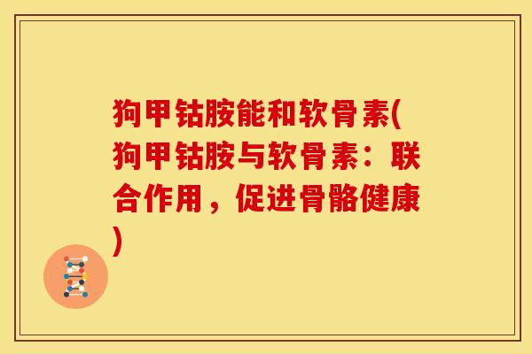 狗甲钴胺能和软骨素(狗甲钴胺与软骨素：联合作用，促进骨骼健康)