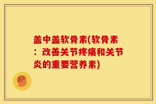 盖中盖软骨素(软骨素：改善关节疼痛和关节炎的重要营养素)