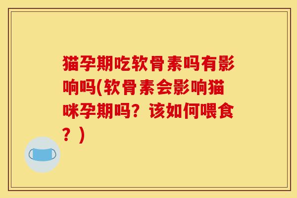 猫孕期吃软骨素吗有影响吗(软骨素会影响猫咪孕期吗？该如何喂食？)