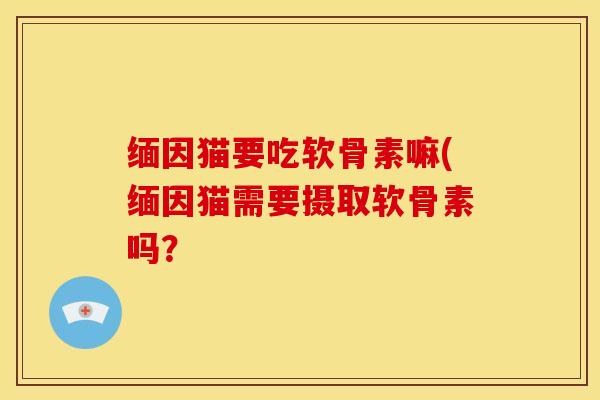 缅因猫要吃软骨素嘛(缅因猫需要摄取软骨素吗？