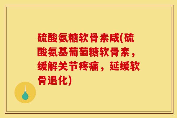 硫酸氨糖软骨素咸(硫酸氨基葡萄糖软骨素，缓解关节疼痛，延缓软骨退化)