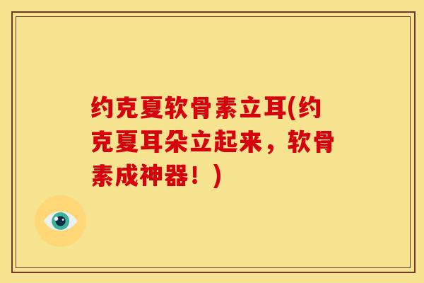 约克夏软骨素立耳(约克夏耳朵立起来，软骨素成神器！)