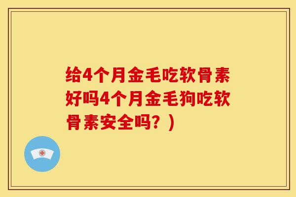 给4个月金毛吃软骨素好吗4个月金毛狗吃软骨素安全吗？)
