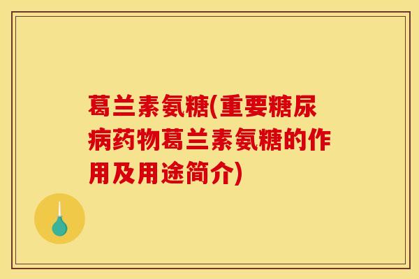 葛兰素氨糖(重要糖尿病药物葛兰素氨糖的作用及用途简介)