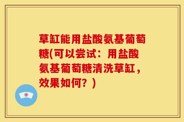 草缸能用盐酸氨基葡萄糖(可以尝试：用盐酸氨基葡萄糖清洗草缸，效果如何？)