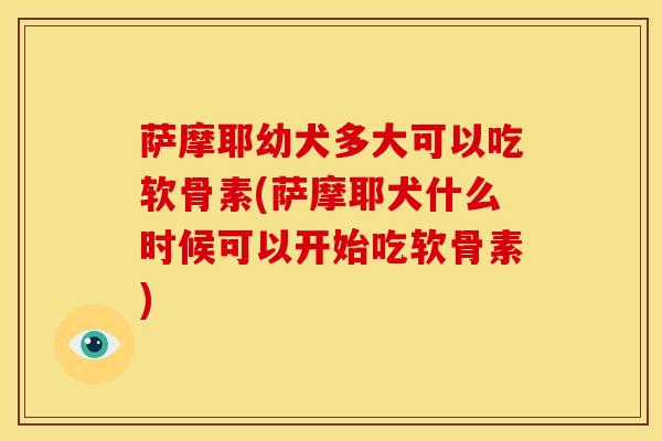 萨摩耶幼犬多大可以吃软骨素(萨摩耶犬什么时候可以开始吃软骨素)
